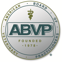 American Board of Veterinary Practitioners