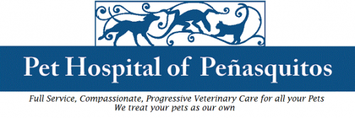 Pet Hospital of Penasquitos-Veterinary Specialist-Dr. Thomas Boyer