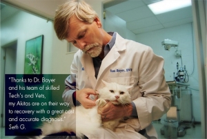 Dr. Boyer and Dr. Steffes