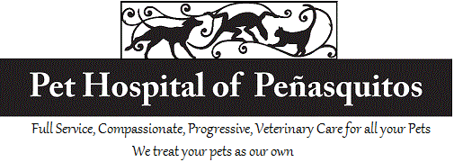 The Pet Hospital of Penasquitos in San Diego