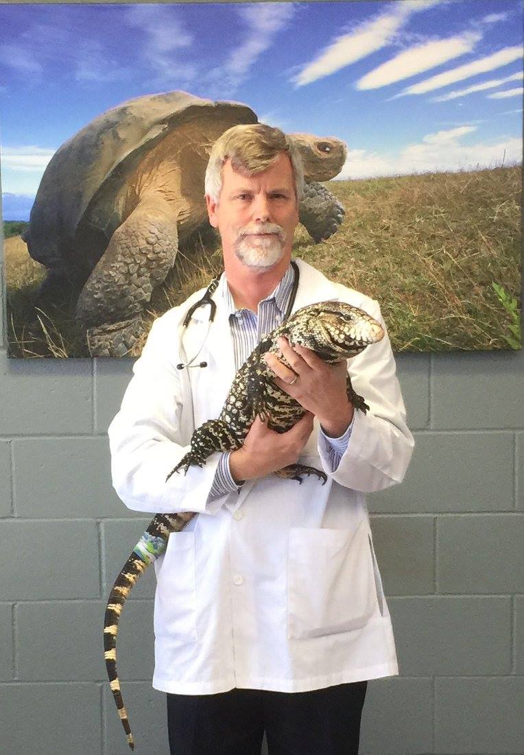    Thomas H. Boyer, DVM, DABVP (Reptile and Amphibian Practice), Veterinary Specialist