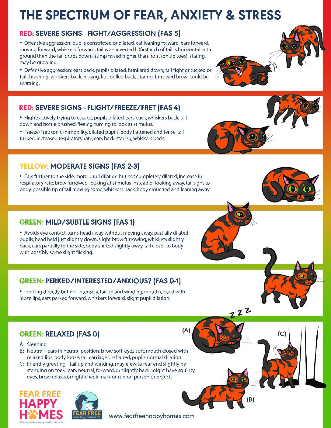 Cat Fear Level 