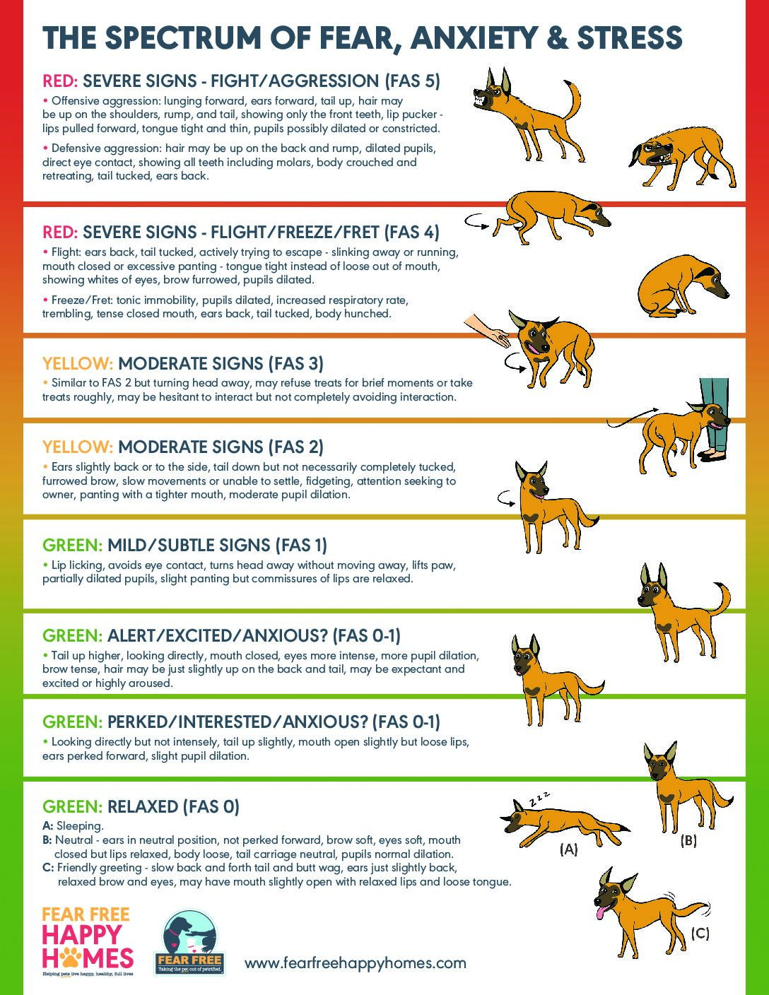 Dog Fear Level