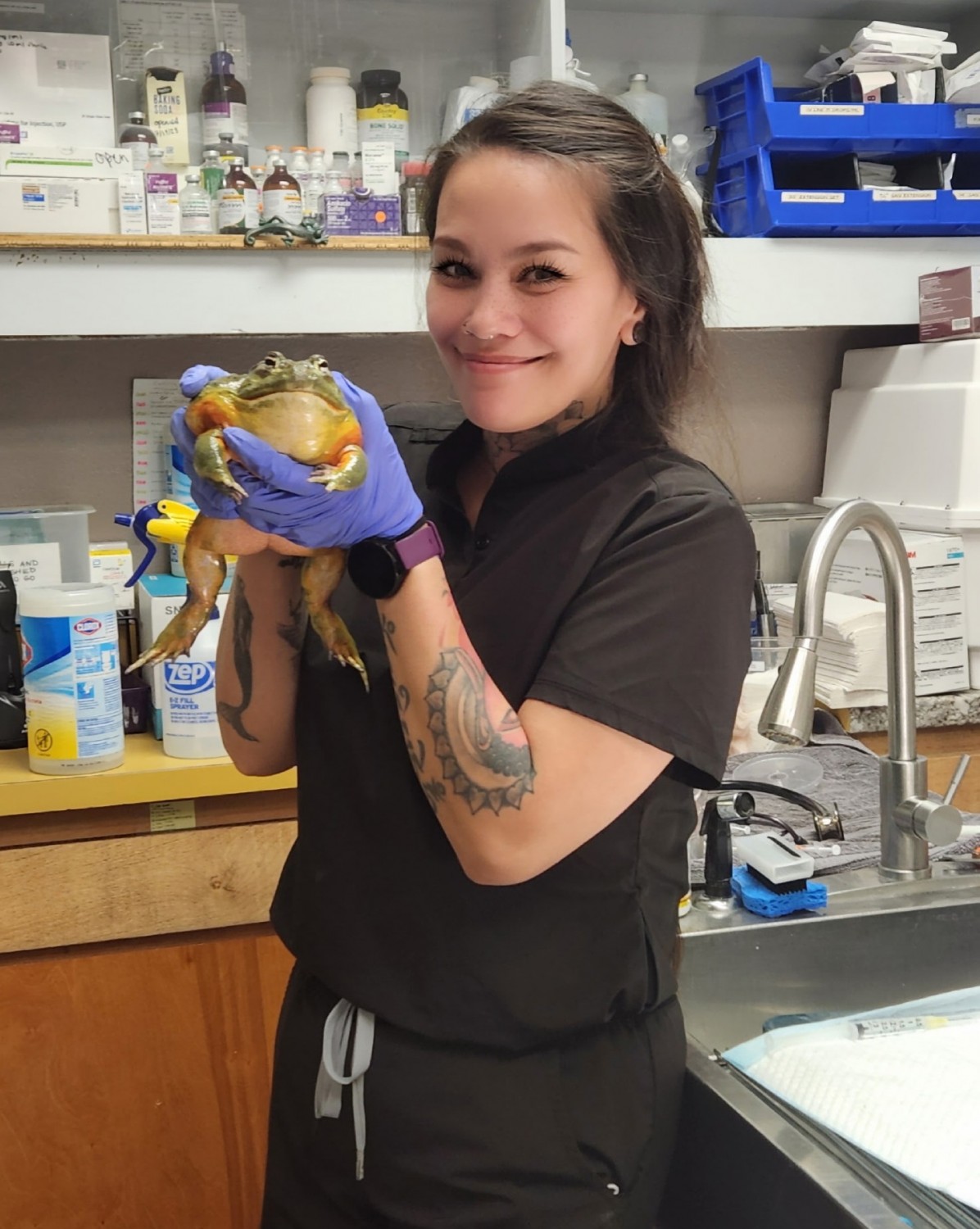 Hershey - Veterinary Assistant Hershey - Veterinary Assistant