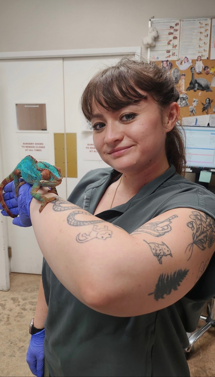 Alexis - Registered Veterinary Technician Alexis - Registered Veterinary Technician