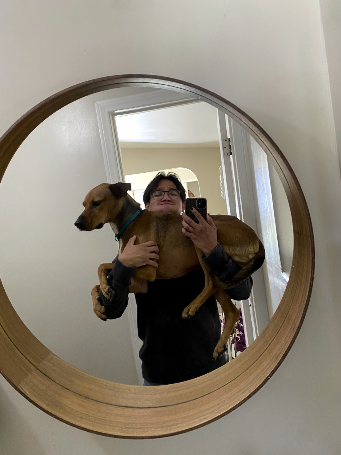 Josie - Veterinary Assistant