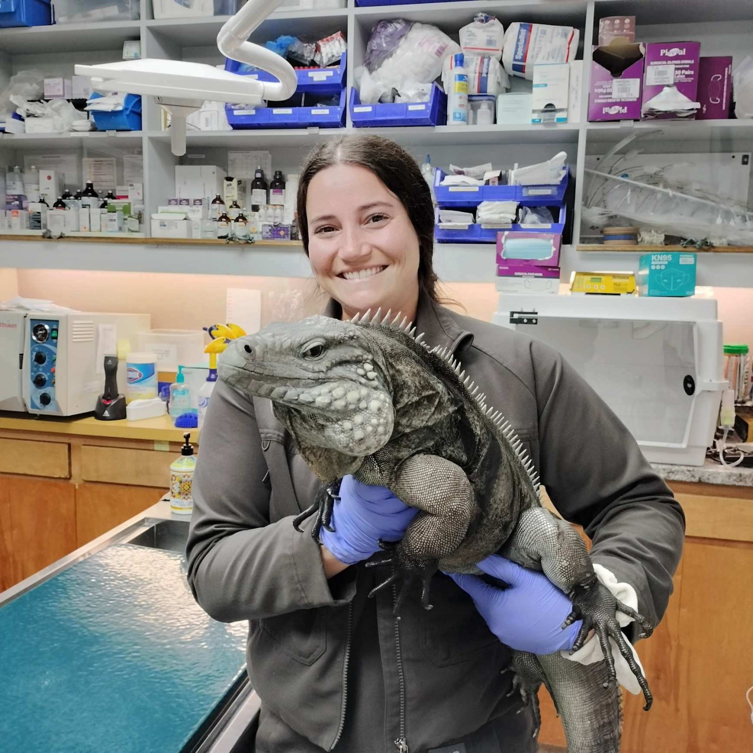 Jaclyn Wilson, DVM, MFAS, Veterinary Specialist Jaclyn Wilson, DVM, MFAS, Veterinary Specialist